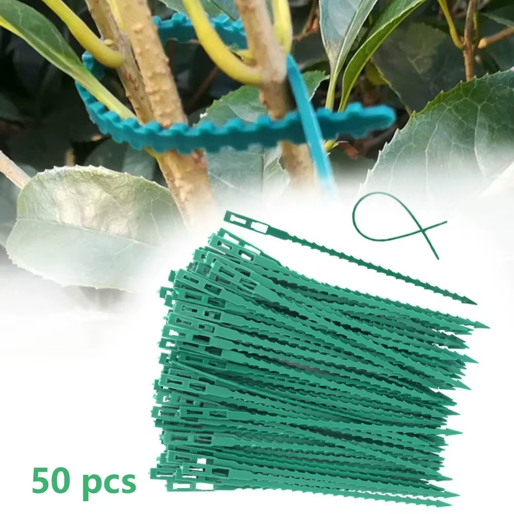 50 attaches réglables en plastique réutilisables pour plantes, fournitures de jardinage, support d'e