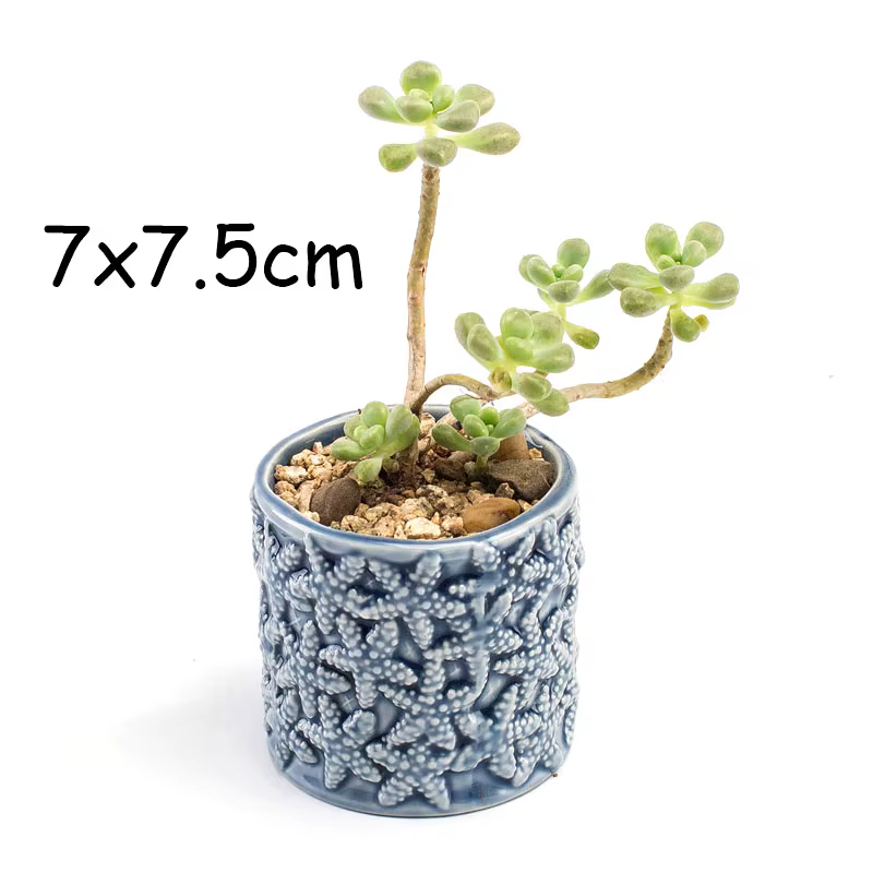 Pot de fleurs charnu mignon de style européen, vase de macetas de poisson bleu Pocelain, mini bonsaï