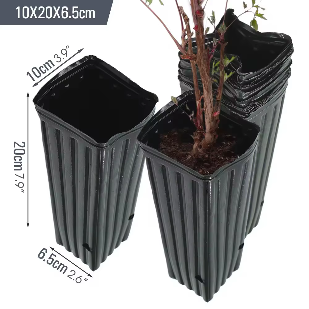 Pot d'arbre carré avec trous de Drainage, Pots de démarrage pour intérieur et extérieur, pots d'arbr