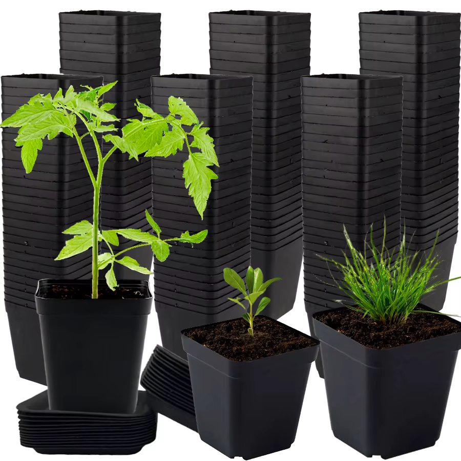 Lot de 6/12/24 pots de fleurs carrés noirs avec plateau, pour bureau, intérieur, extérieur, décorati