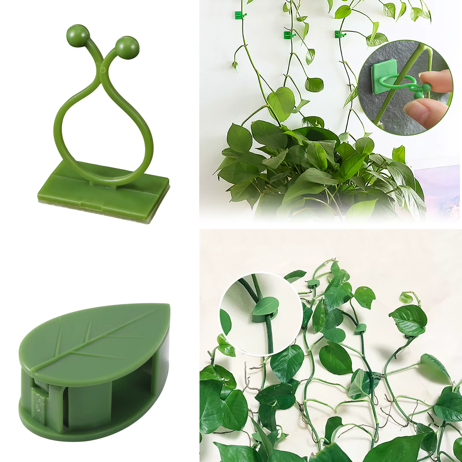 Fixation Auto-Adhésive Invisible pour Plantes Grimpantes, Support de Traction à réinitialisation, Ro