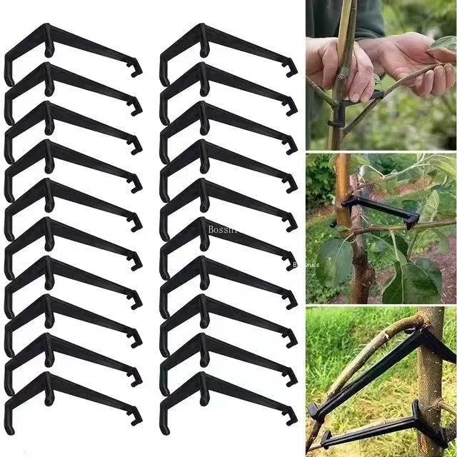 Clips pour arbres fruitiers, Support de vignes, façonneurs torsadés, extracteur de Branches, outils 
