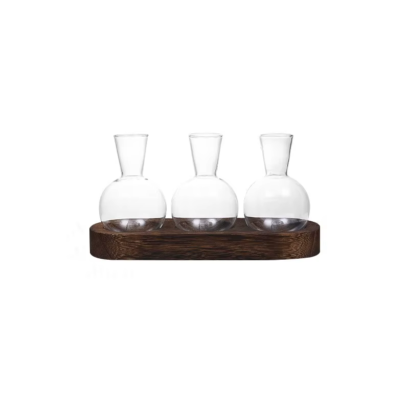 Terrarium de plantes en verre moderne avec plateau en bois – Vase hydroponique pour station de propa