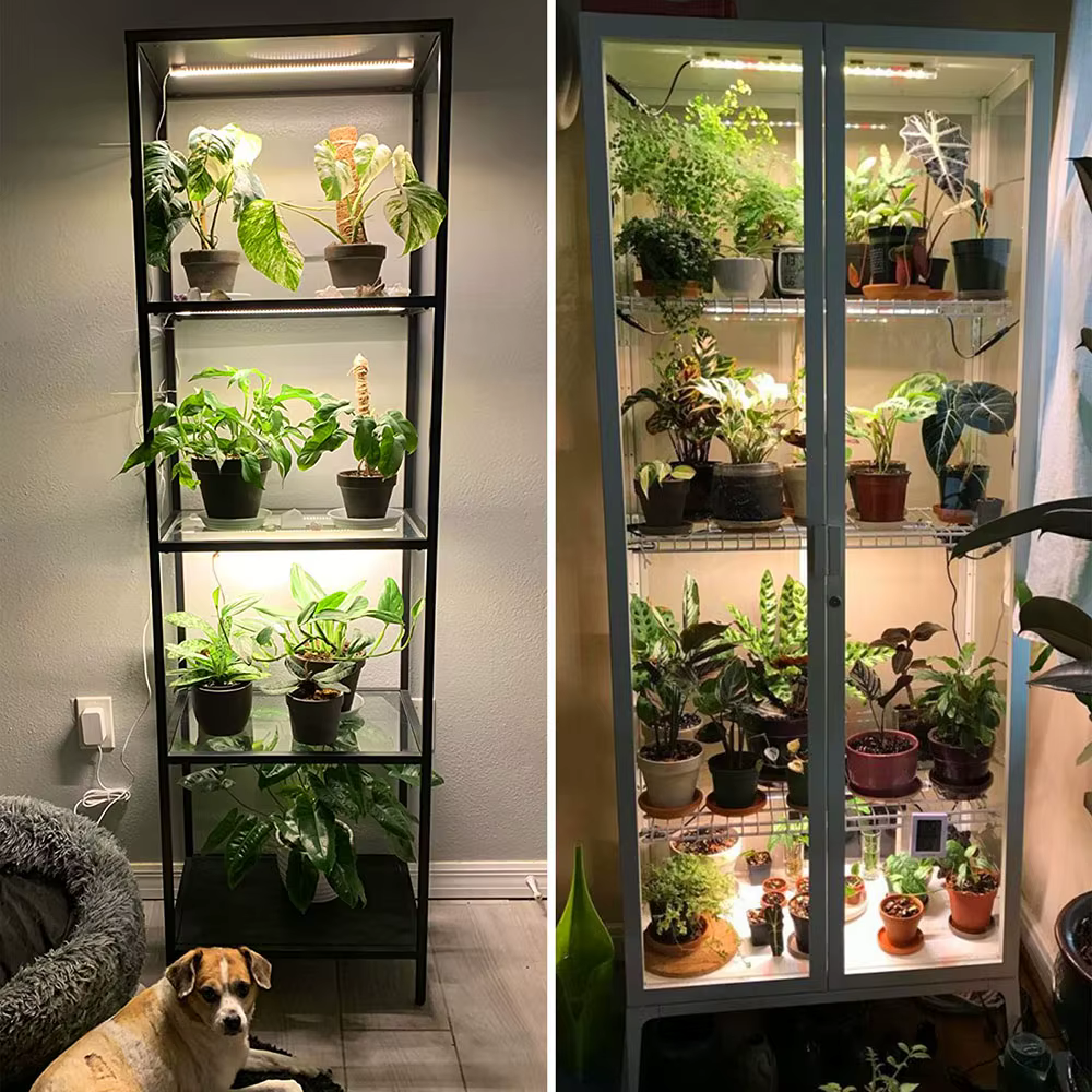 Bande Lumineuse de Croissance LED USB pour Plantes d'Nik, 1/2/3/4 Têtes, Lampe Phyto Complète à Inte