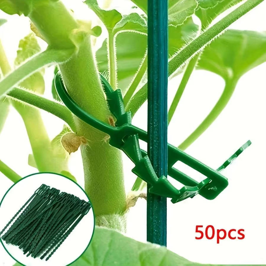 Attaches de câble réglables en plastique pour plantes, 50 pièces, attaches de câble réutilisables po