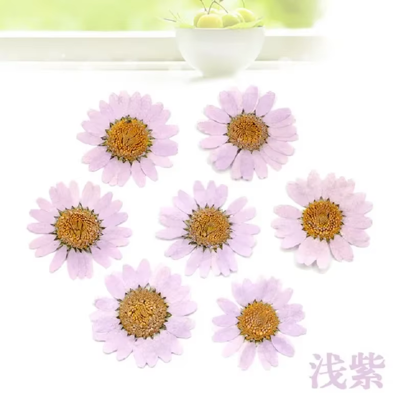120 pièces de fleurs de marguerite séchées pressées pour la fabrication de pendentifs en résine épox