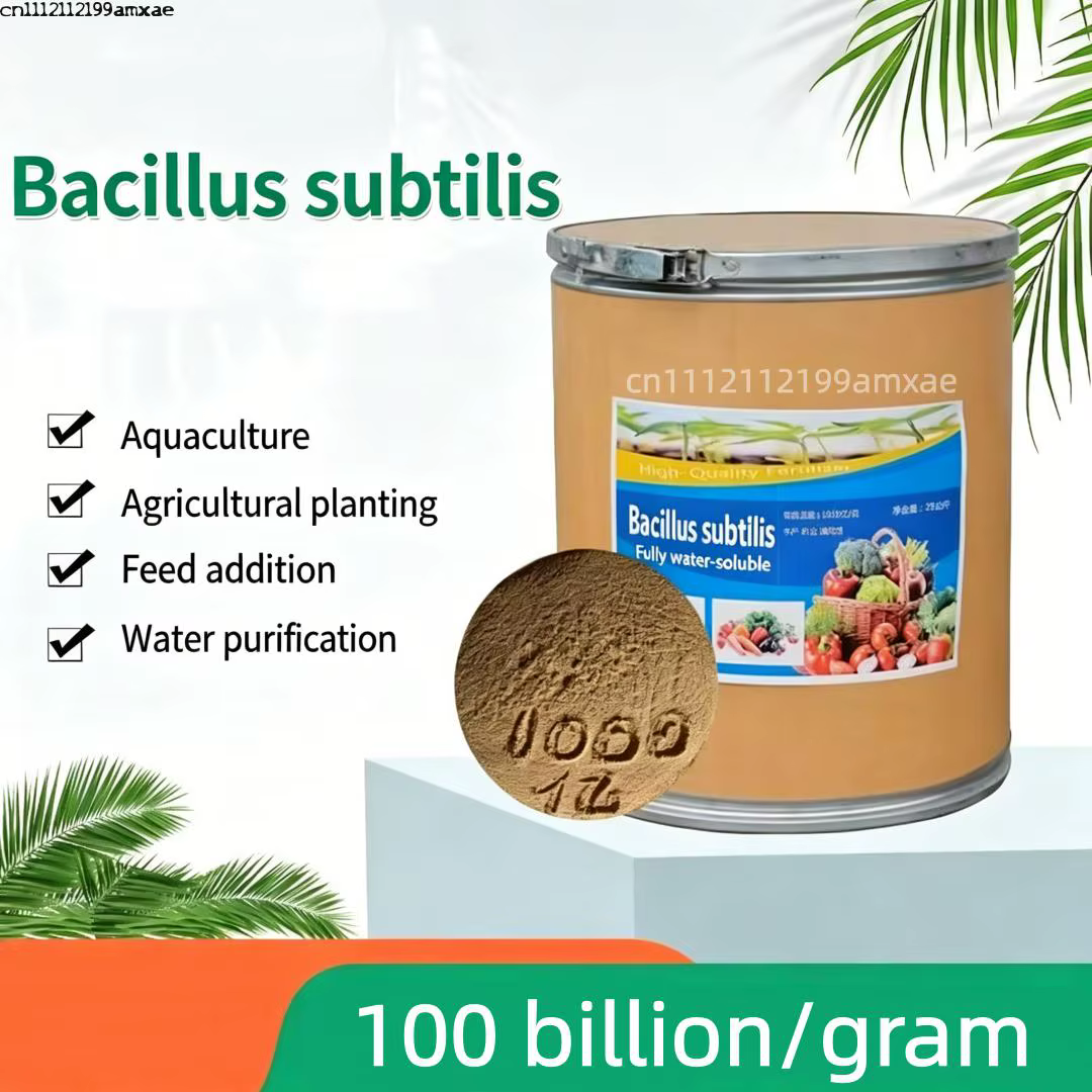 Bacillus subtilis de haute pureté pour la croissance des plantes, la purification de l'eau et comme 