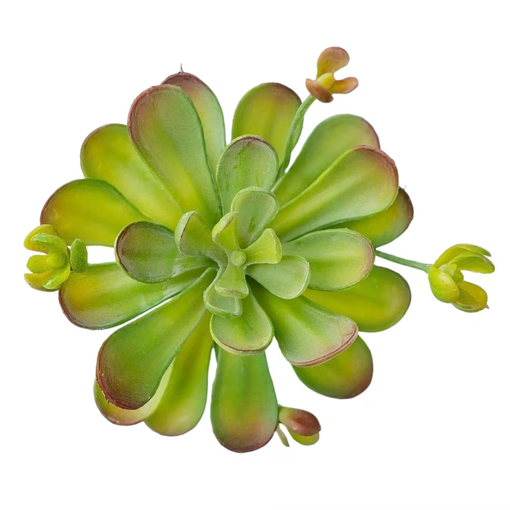 Plante succulente artificielle réaliste au toucher authentique, fausse plante de cactus en plastique
