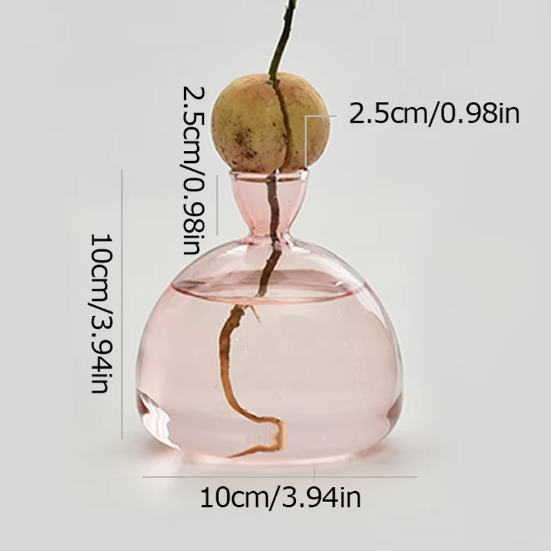 Vase hydroponique en verre Transparent, noyau d'avocat, récipient en verre pour culture de graines, 