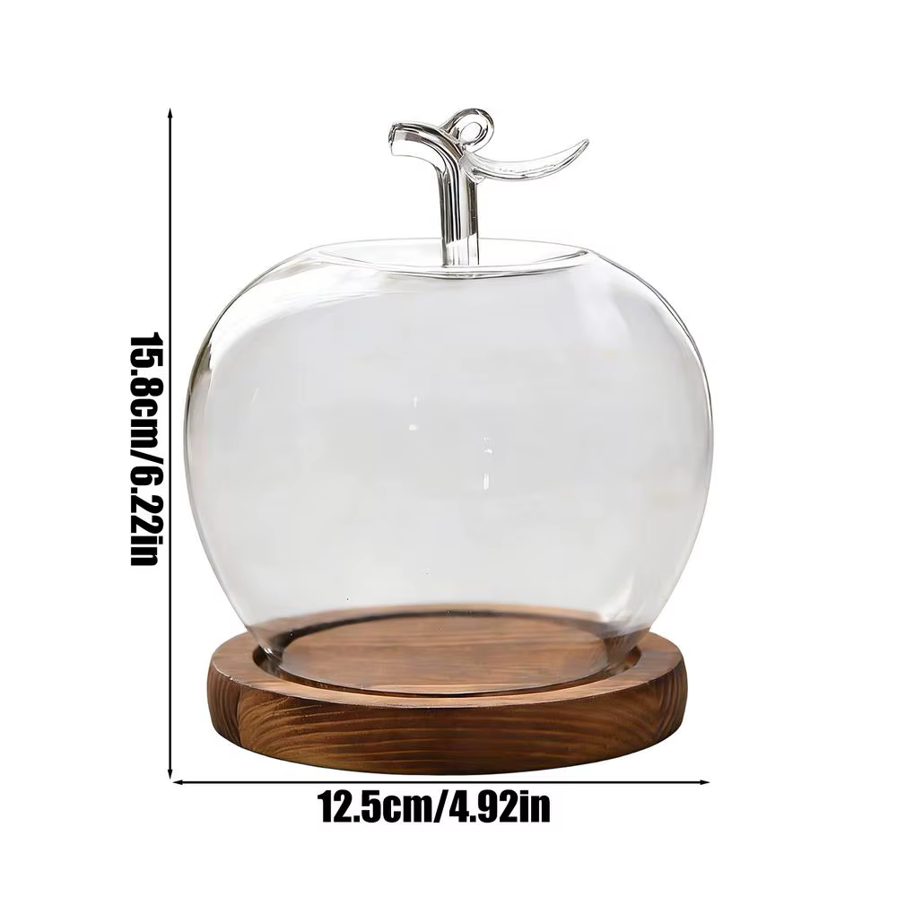Cloche en verre pour fleurs préservées, forme de fruit, décoration de bureau pour collectionneurs, m