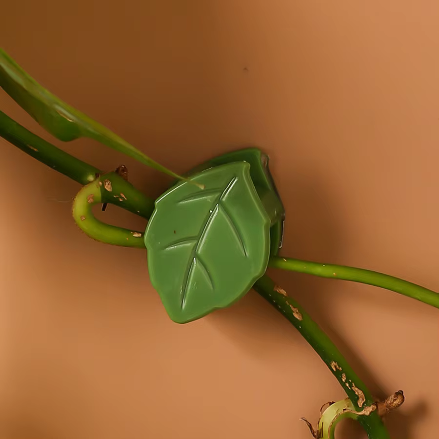 Fixation murale grimpante invisible pour plantes, rotin et vigne, clips de support de traction, supp