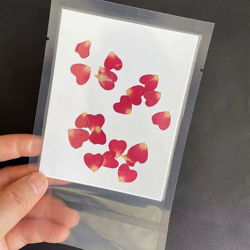 Véritables pétales de fleurs de coeur de Murcia séchées naturelles, mini presse à sec, pétale de ros