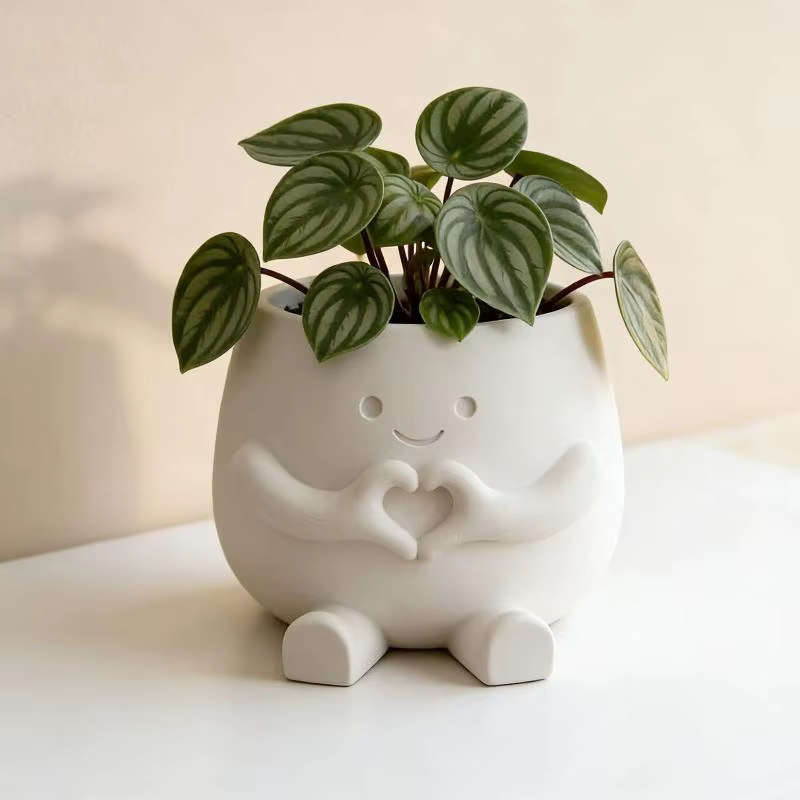 Vase à fleurs unique en forme de tête de chaise, pot à plantes succulentes en résine mignon et durab