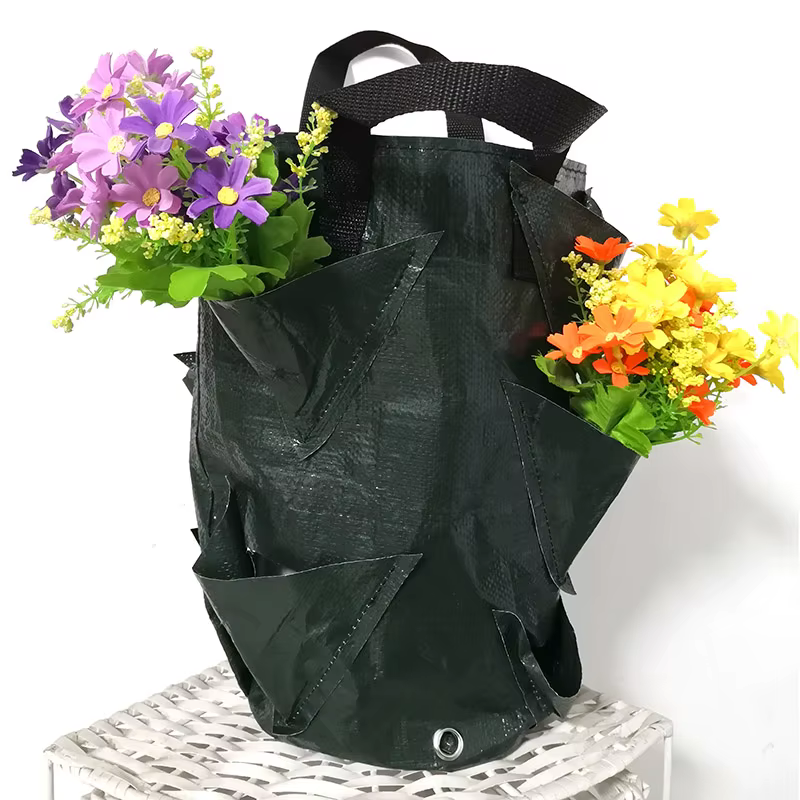 Sac de culture de plantes fraises 3 gallons, conteneur de tomates en plein air, sacs multi-bouche su