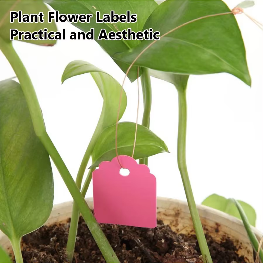Étiquettes de plantes réutilisables, 100 pièces, pour le jardinage, Pot de fleur de qualité, Pots de