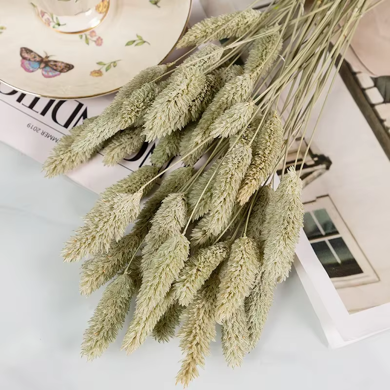 Bouquet de pierres précieuses de phaladditif séchées éternelles, décor de pampa moelleux naturel, fl