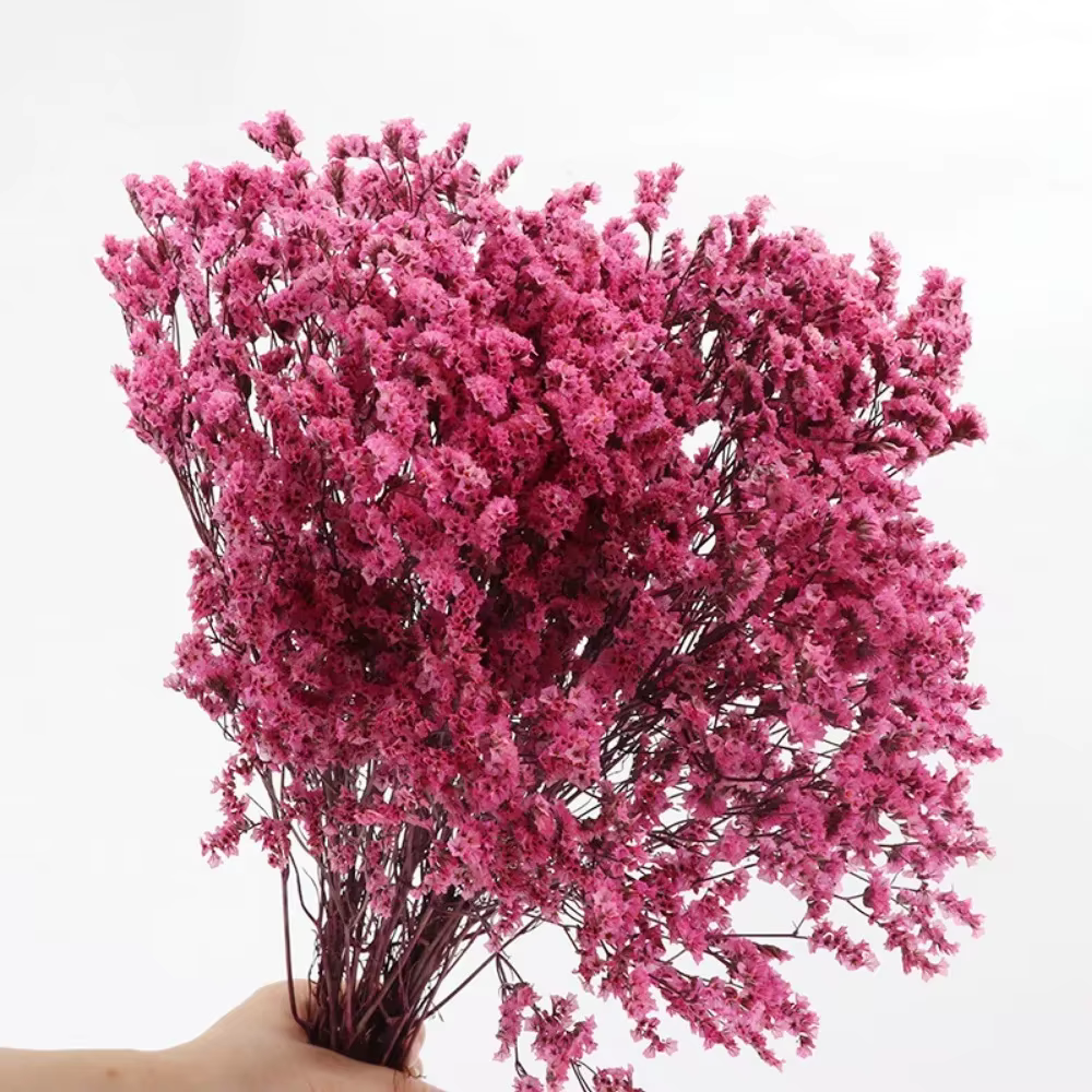 Bouquet de fleurs séchées colorées en herbe de cristal préservée naturelle, décor de mariage, fleurs
