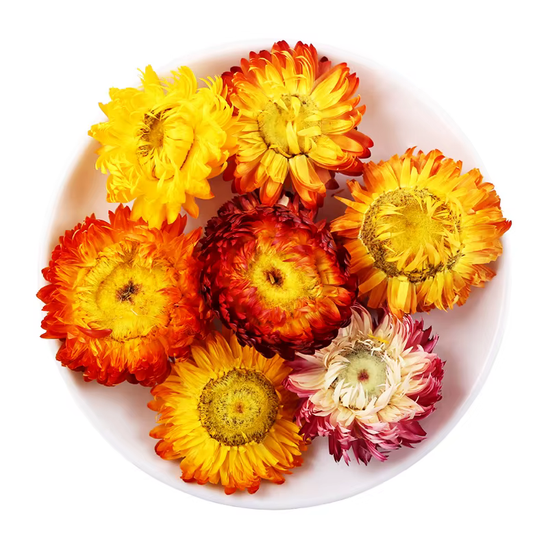 Haute qualité naturel Immortelle décor à la maison Helichrysum fleur séchée bougie Essence arôme pou