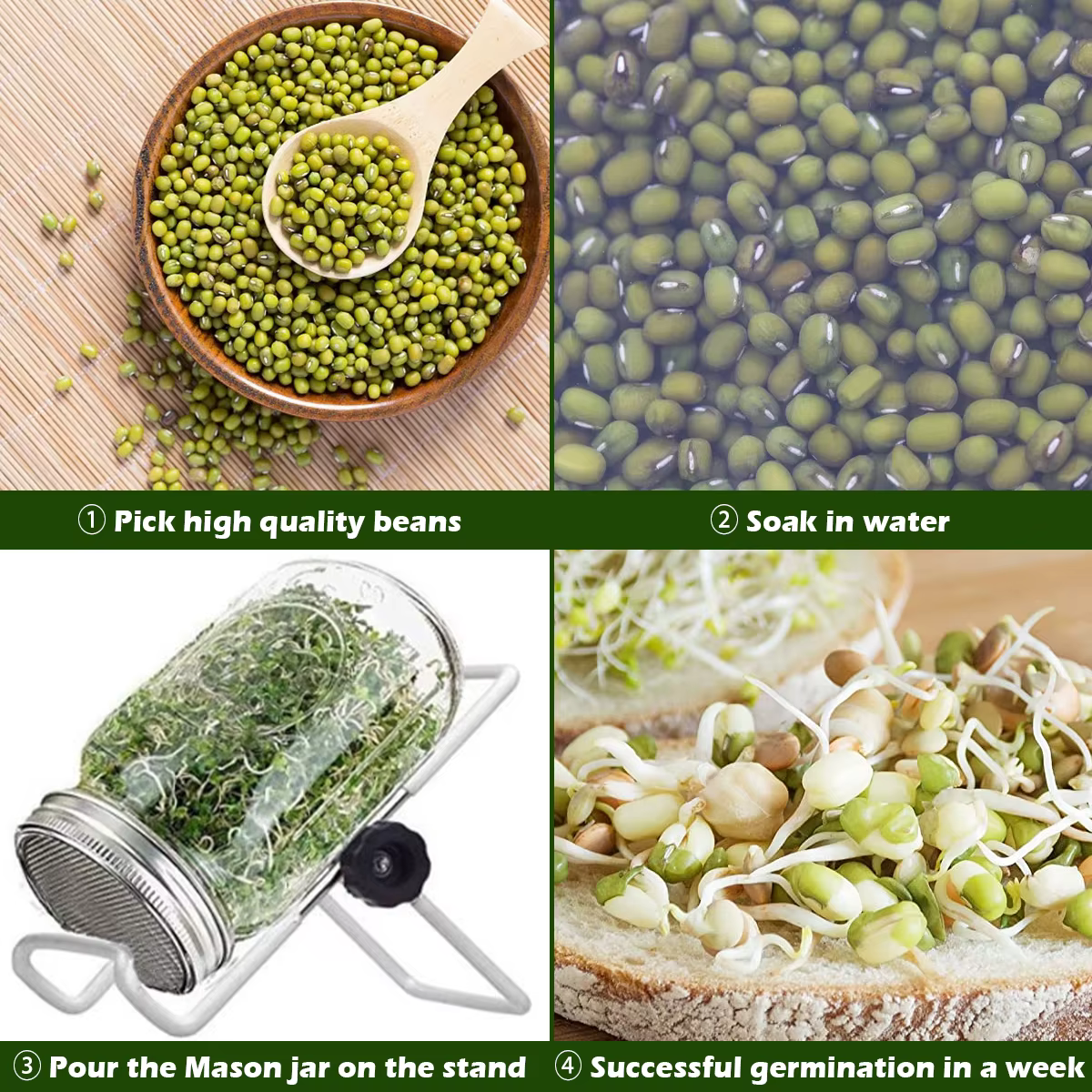 Couvercle de Germination de germes de graines en acier inoxydable, couvercle de bidon de germes de g