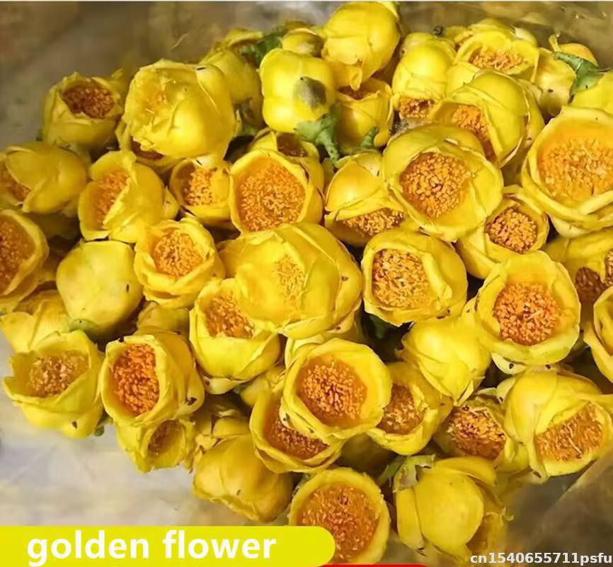 Fleurs séchées de camélia dorée naturelle de qualité supérieure pour la fabrication de savon, décora