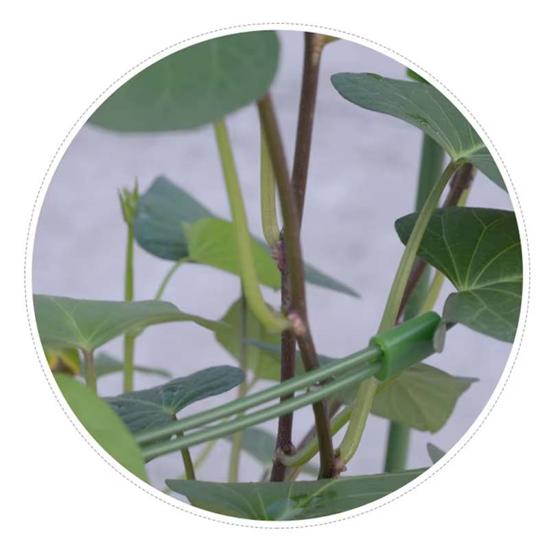 Support de vigne grimpante de 45cm, cadre de Support en pot pour plantes, en acier revêtu de plastiq