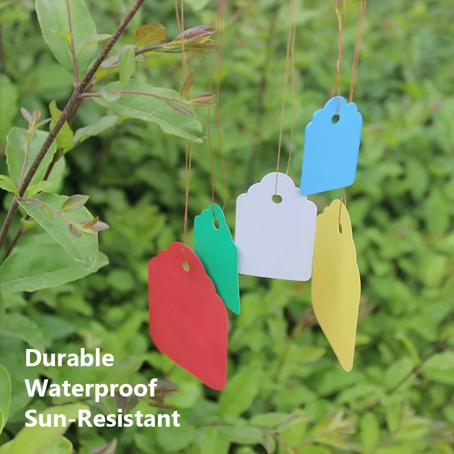 Étiquettes de plantes réutilisables, 100 pièces, pour le jardinage, Pot de fleur de qualité, Pots de
