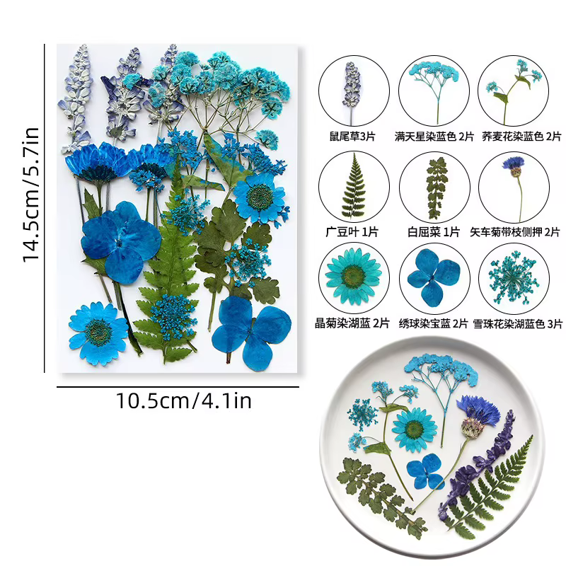 Ensemble de fleurs séchées 16-19 pièces, fleurs et feuilles naturelles pressées pour la fabrication 