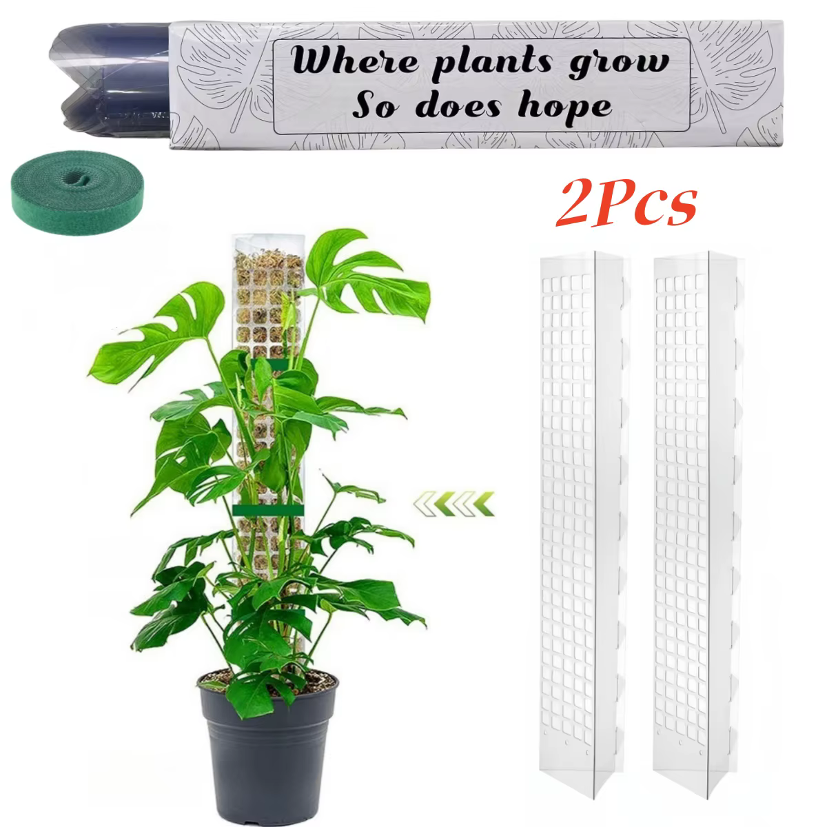 Support de plantes en plastique, poteau de mousse, plantes grimpantes d'intérieur, Tutors garantis, 