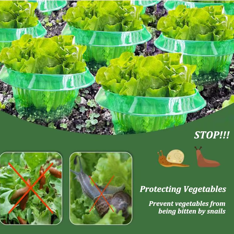 Anneaux de Protection des limaces pour plantes, jardinière verte, Pot de fleur, escargot, légumes, c