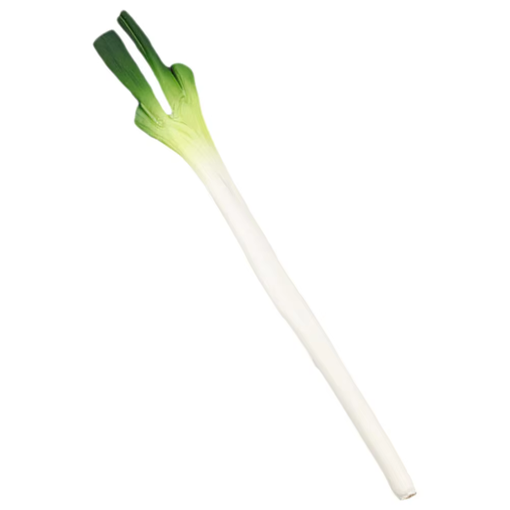 Simulation d'oignons artificiels, faux modèles, plante verte réaliste, scallion en PU, décoration de