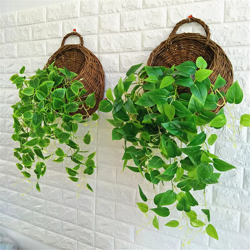 Présentoir mural pour jardinière de fleurs, support pour plantes, panier en rotin, pot de vigne de j
