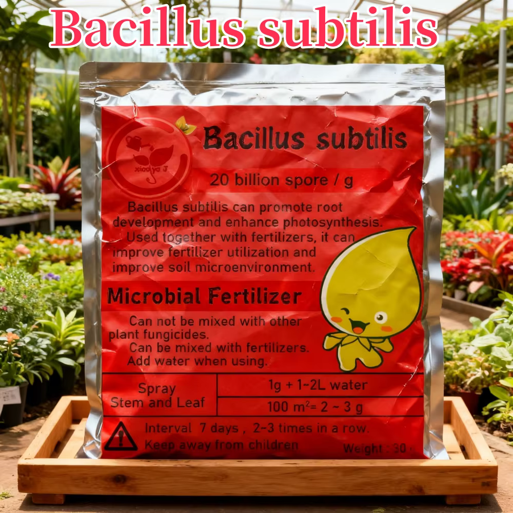 Engrais organique microbien Bacillus subtilis 30g, engrais hydrosolubles, protège les plantes, régul