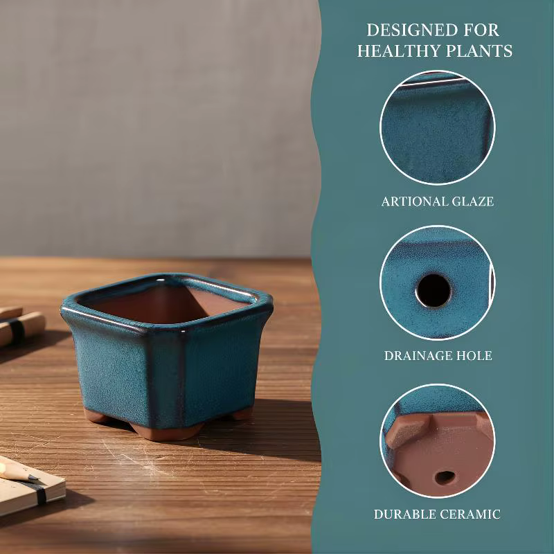 Pots de plantes en céramique, mini-pots décoratifs, lot de 3, pour la maison, le bureau, jolies jard