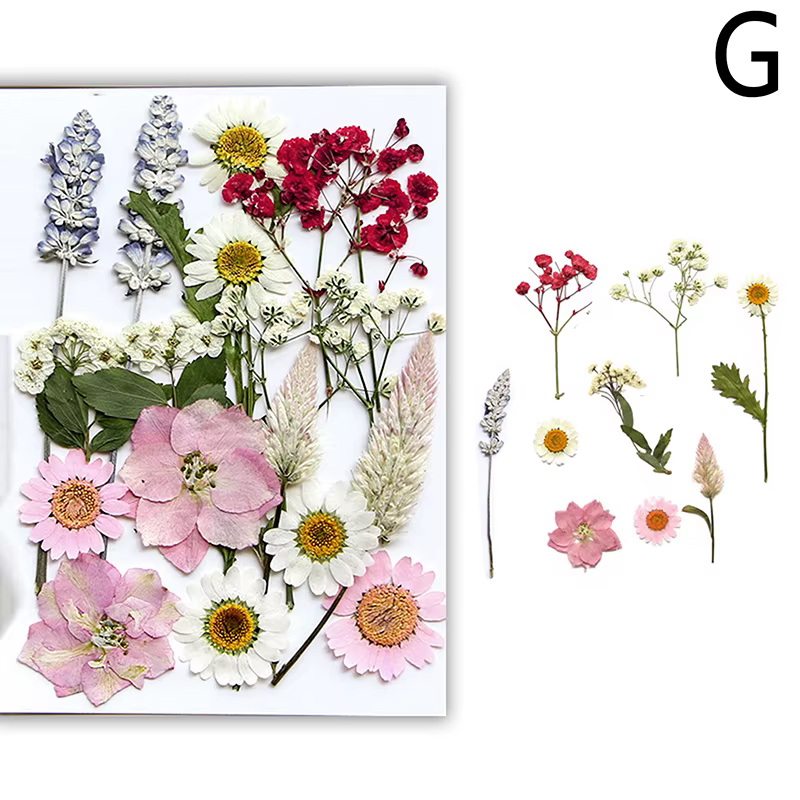 Fleurs séchées véritable plante naturelle pressée fleur pour résine époxy remplissage bricolage Nail