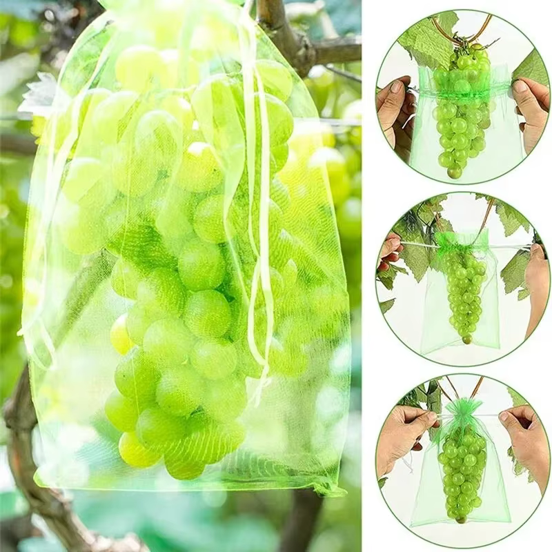 20/50/100 pièces sac de Protection de raisin sac de culture maille fruits antiparasitaires produits 