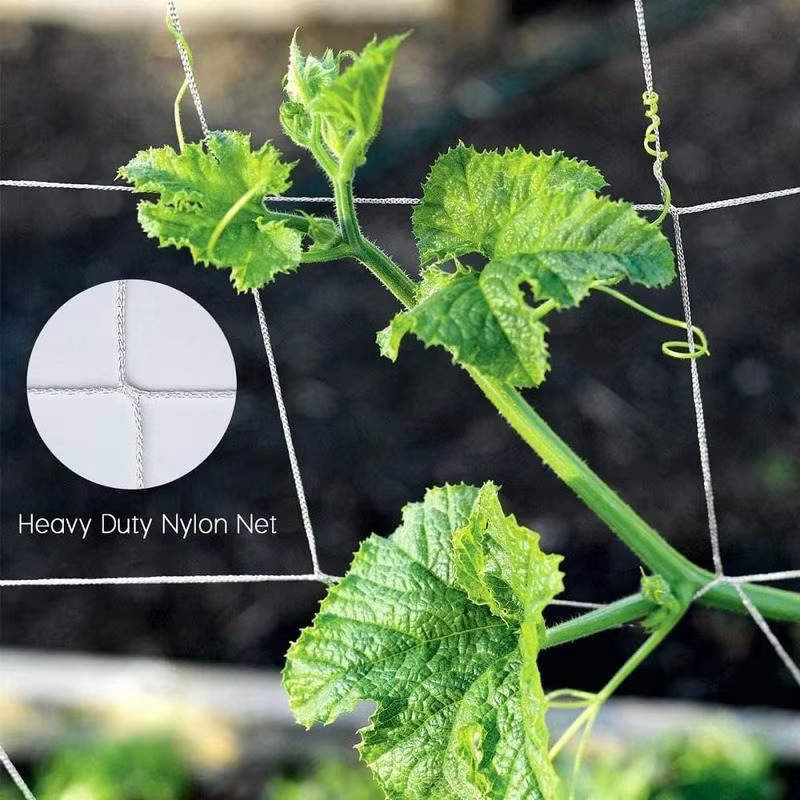 Filet en nylon pour plantes, tente en treillis de jardin, accessoires de support de plantes, RapDuty