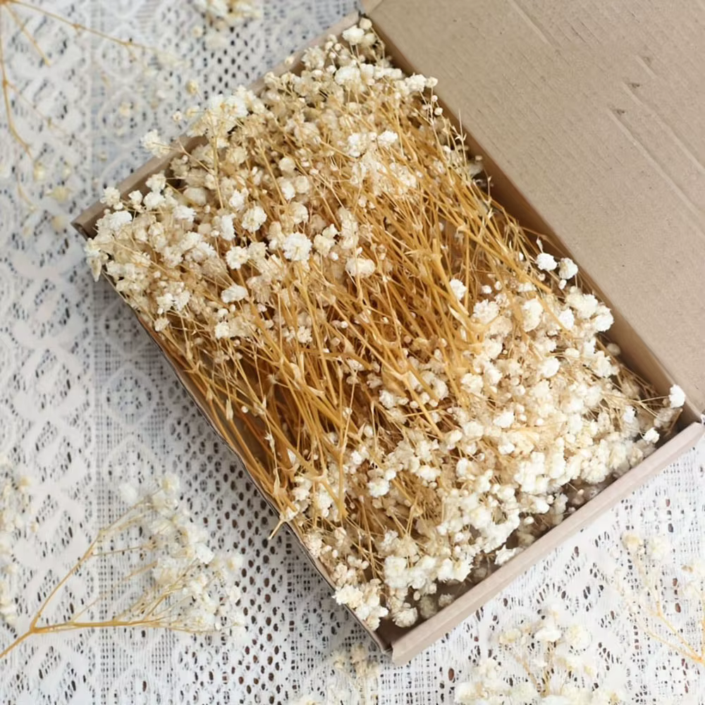 Boîte de matériaux floraux séchés en vrac pour l'artisanat, bouquet de lavande et d'herbe de la pamp