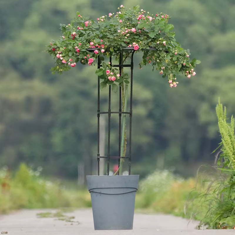 Treillis de Jardin pour Plantes Grimpantes, Tour Parapluie, Support DIY pour Pots de Fleurs