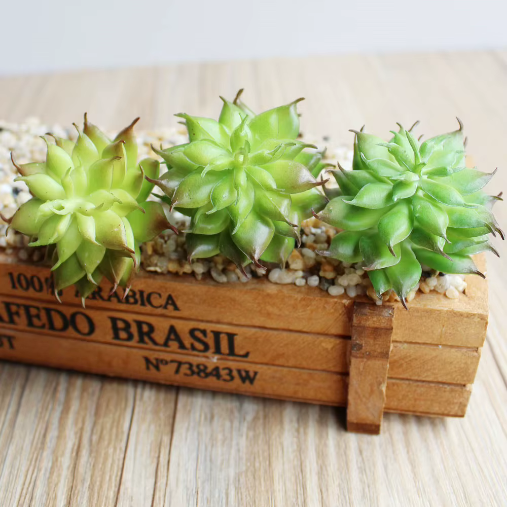 Mini plantes succulentes artificielles Lotus, vert et rouge, ornement de jardin de maison, belles pl