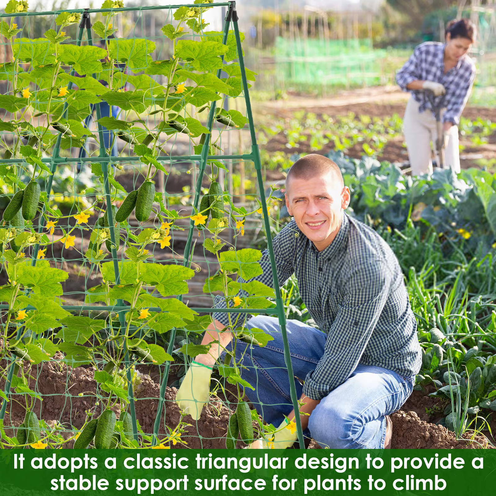 Treillis de concombre, cadre A pour légumes de jardin, Support détachable, cadre d'escalade pour pla