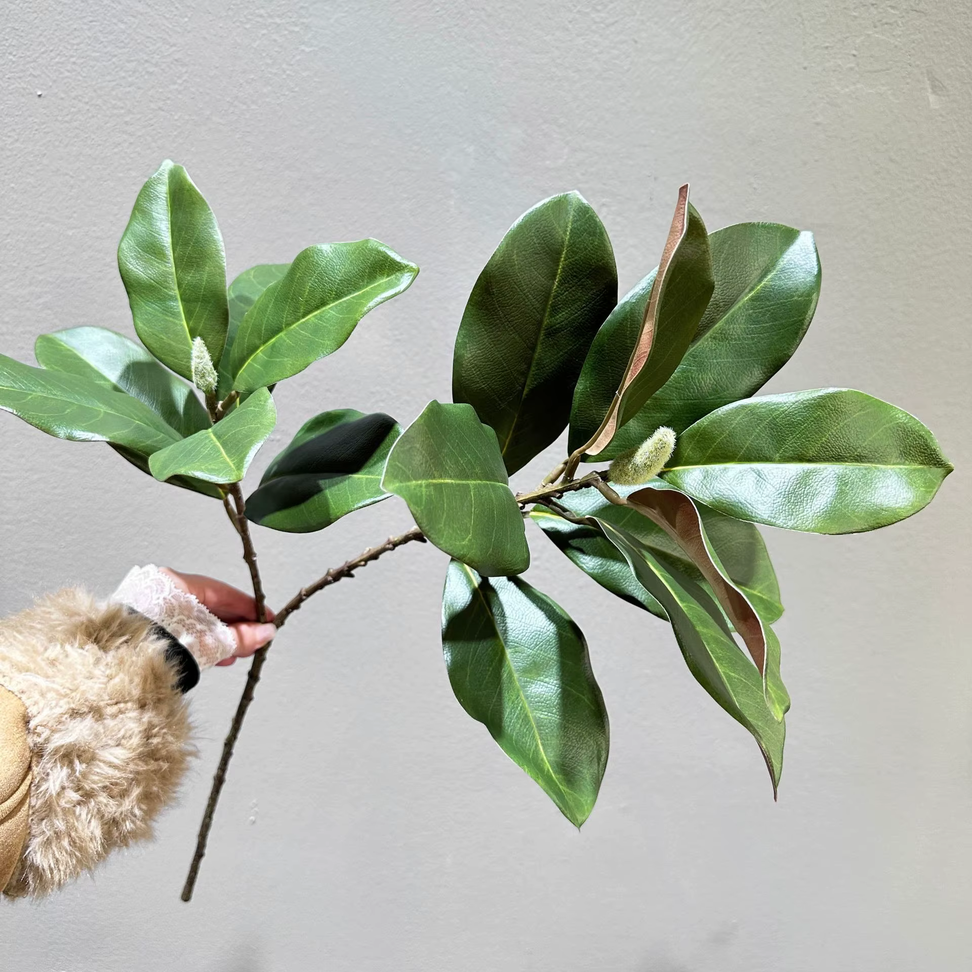 Feuilles de Magnolia artificielles 70CM, en Stock, pour la décoration de la maison, bols blancs, bou