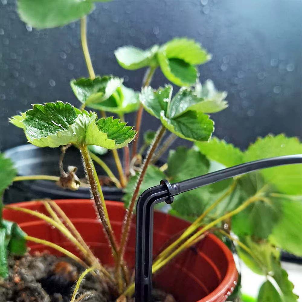 OASIS-Kit d'arrosage goutte-à-goutte à flèche courbée, 25 pièces, micro goutteurs pour tuyau de 3/5m