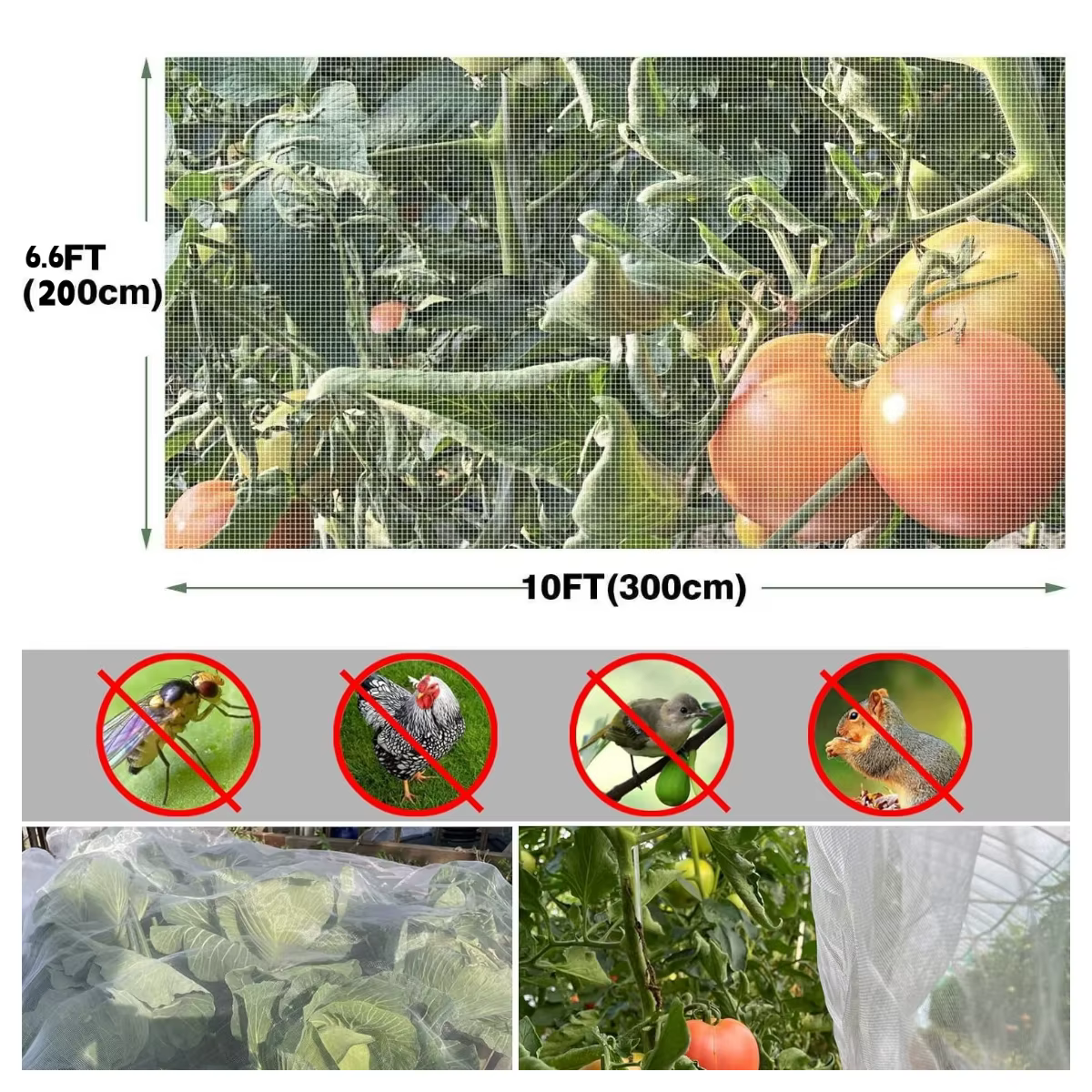 Filet de jardin ultra fin 6x10 pieds, protection contre les ravageurs des plantes, filet anti-oiseau