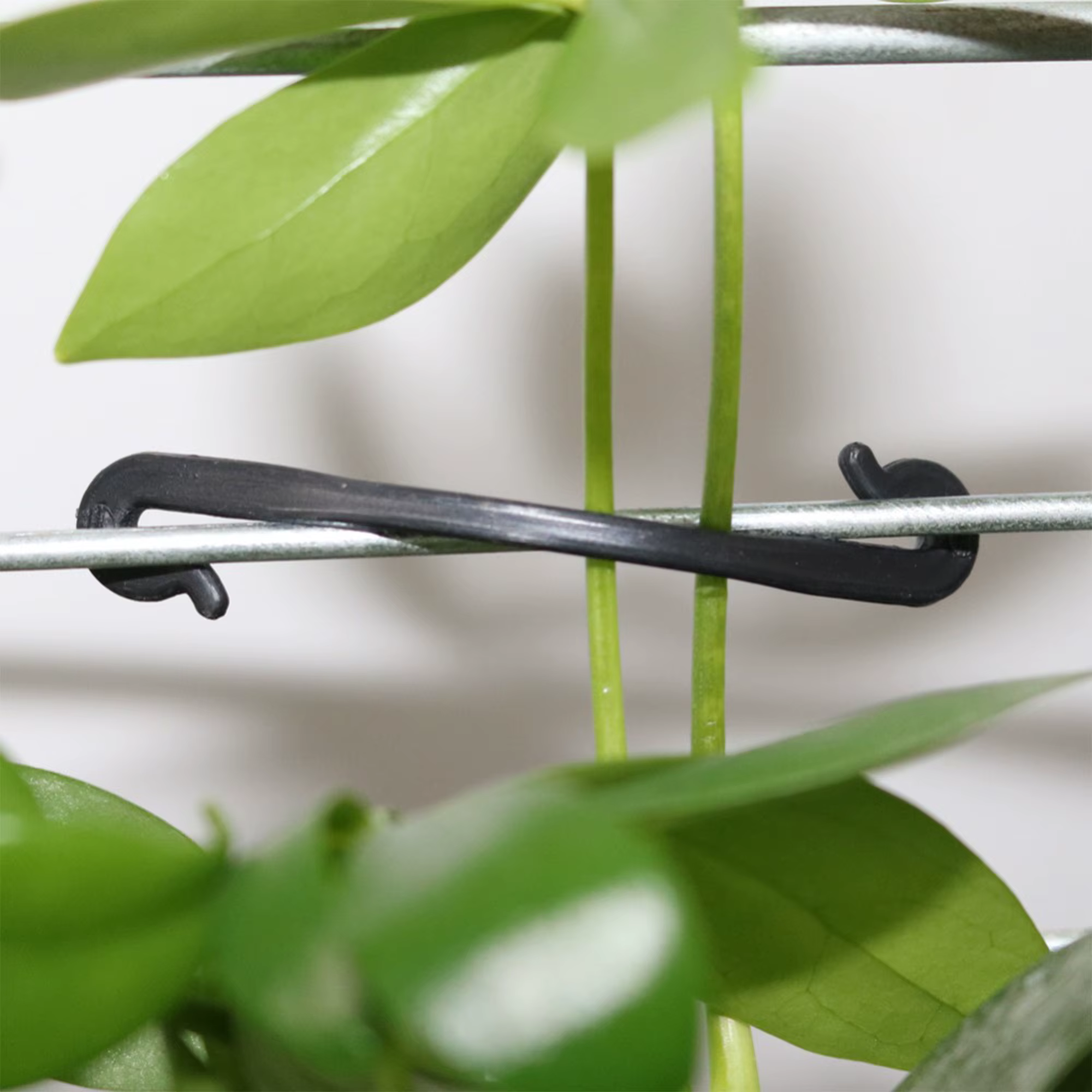 Clip de fixation pour plantes de vigne, 100 pièces, Clip de fixation pour plantes de jardinage, Clip