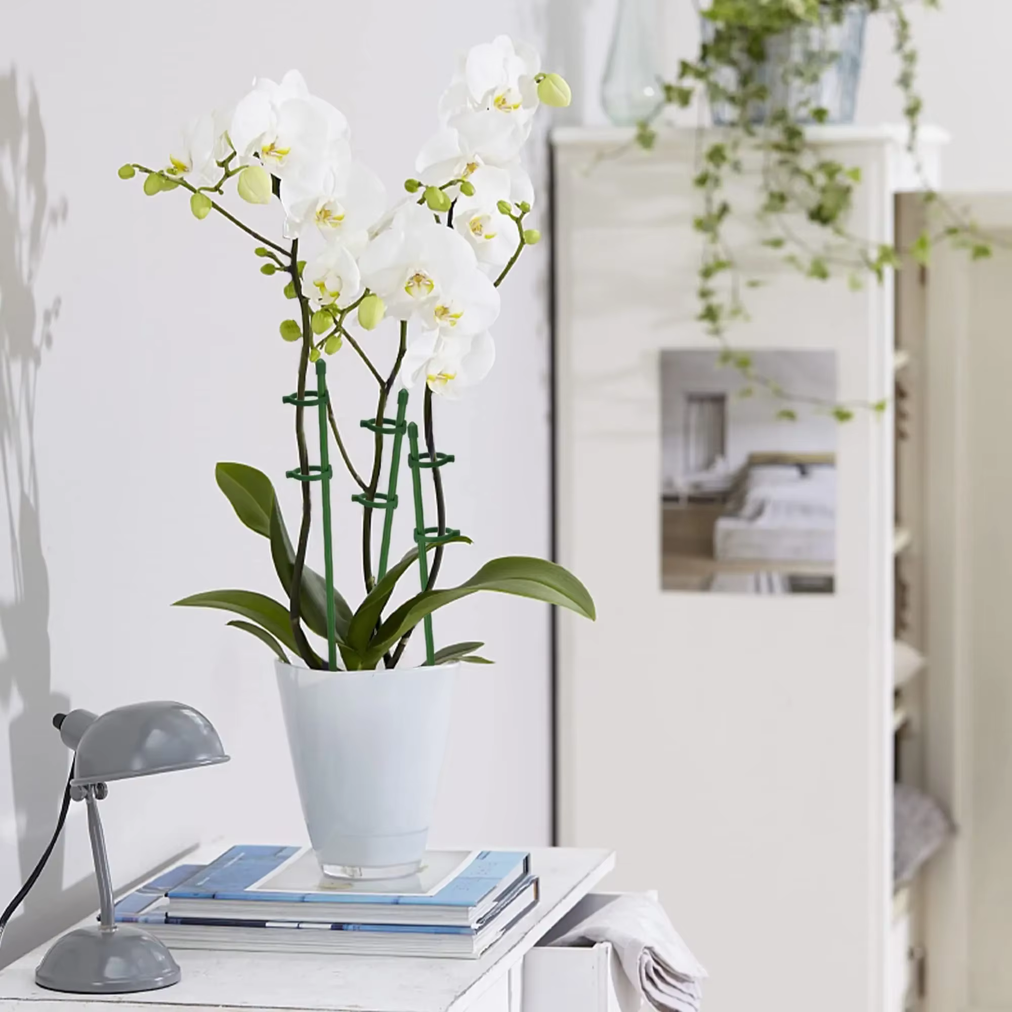 15 Pièces de Supports de Plantes Réglables, Supports de Fleurs de Jardin, Anneaux de Soutien pour Pl