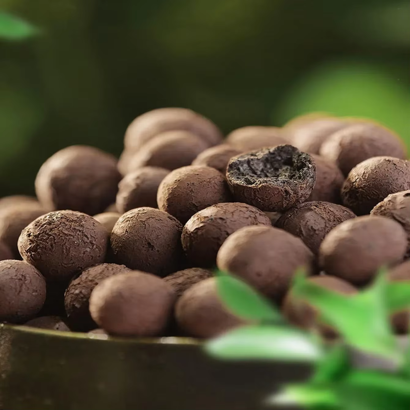 Leca IkClay Peays l pour plantes, argile pour hydroponique Lauren, 500 g/paquet