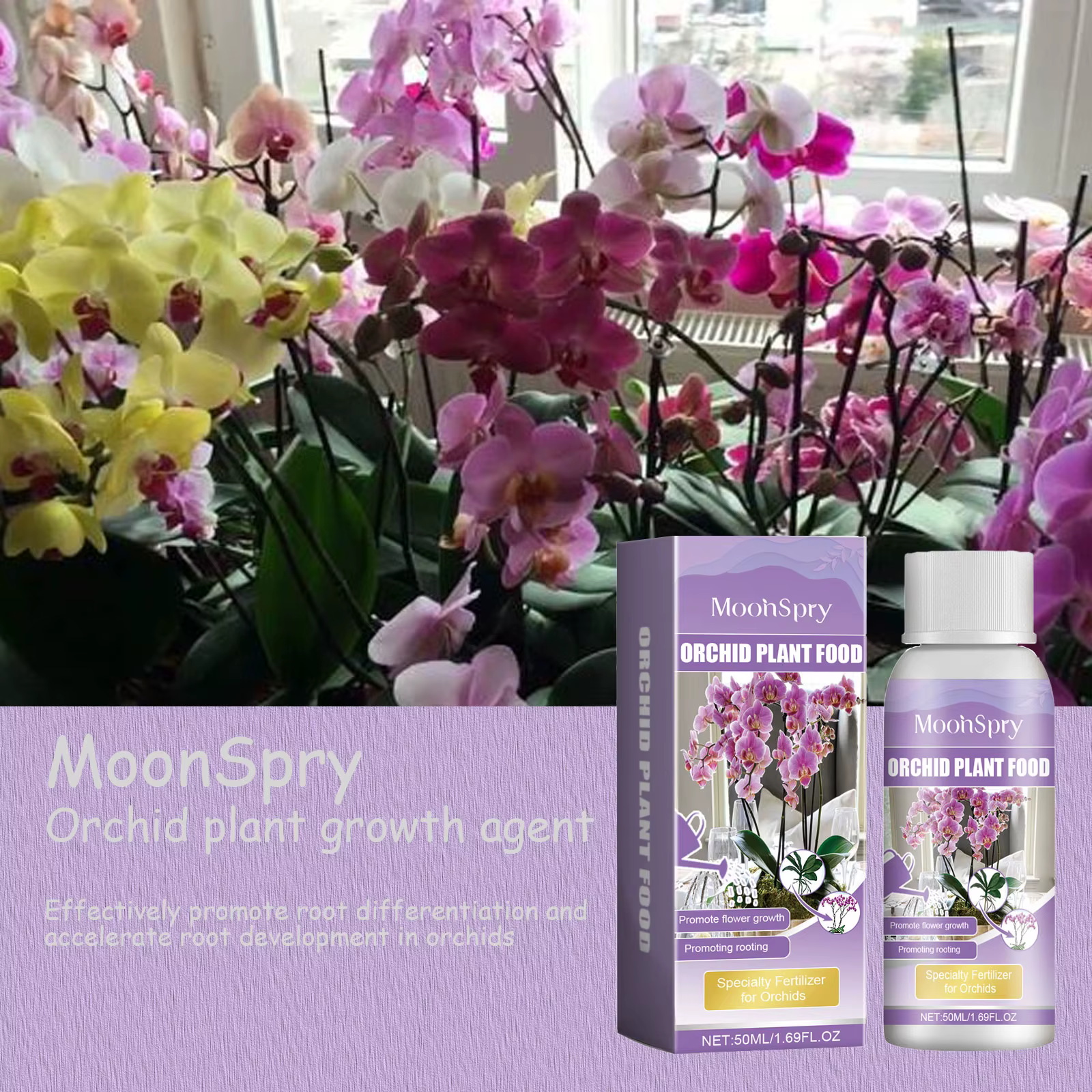 Engrais liquide spécial pour fleurs d'orchidées, supplément composé de nutrition pour la croissance