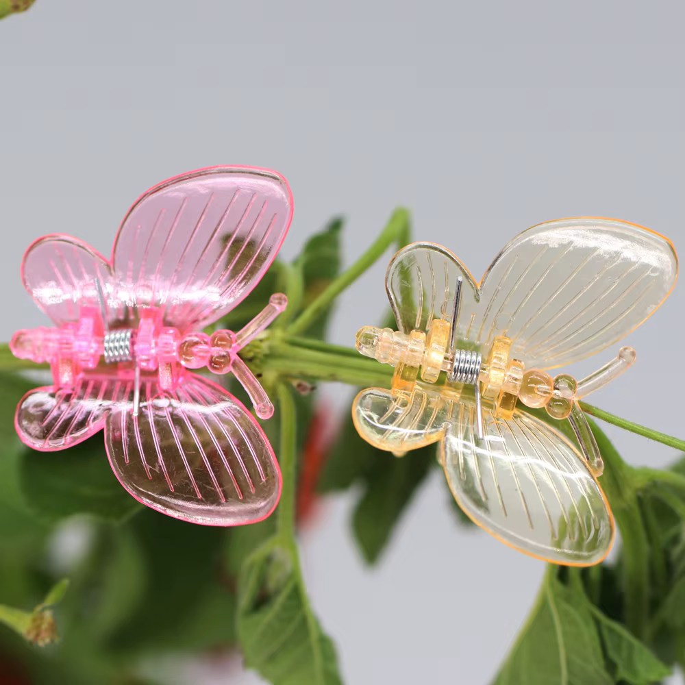 10-800 pièces orchidée pinces papillon pinces plantes de jardin vigne escalade Support fixe coloré e