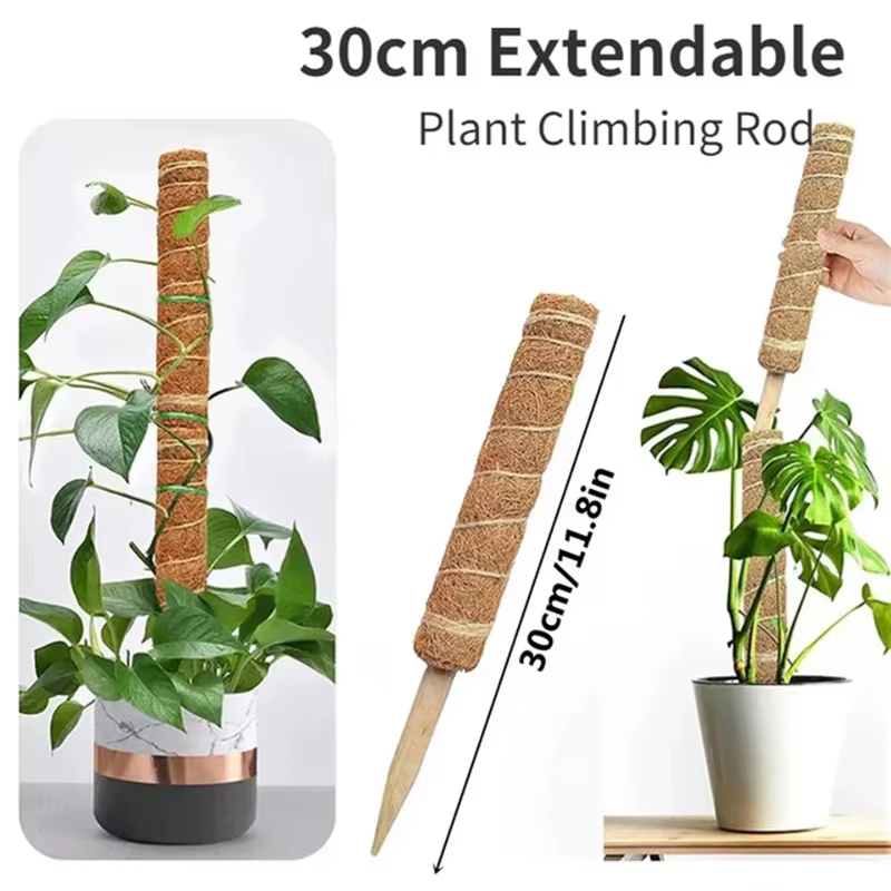 Échafaudage de plantes déformable, choses utiles pour accessoires de jardin, accessoires de plantes,
