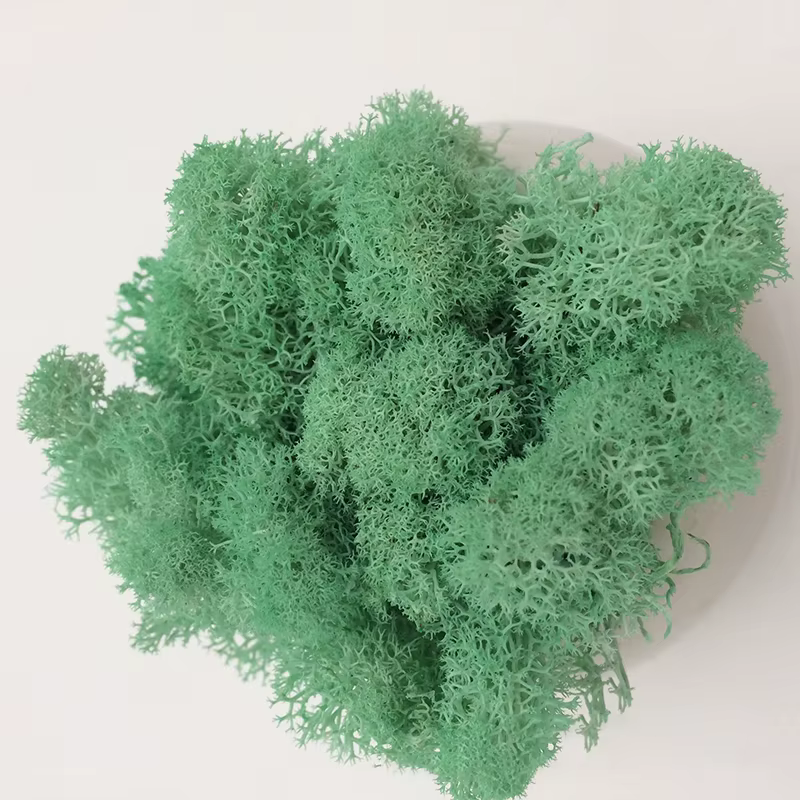 Plantes Vertes Artificielles Bon Marché, Mousse de Vie Éternelle, Mini Paysage, Faux Enge, Artisanat
